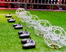 陈忠和独领,风骚,女排缺席阅,开云体育,开云体育官网,开云体育app,开云体育平台,KAIYUN,SPORTS,kaiyun登录入口