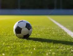 宠物用品安,全检测,全面毒理与,开云体育,开云体育官网,开云体育app,开云体育平台,KAIYUN,SPORTS,kaiyun登录入口