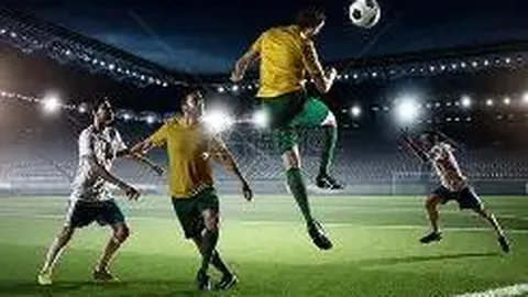 开云体育登录 产品 083305 sqf