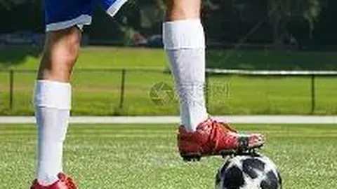 开云体育登录 产品 083250 hvt