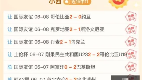 切尔西、纽卡及申花前锋登巴-巴加盟勒阿弗尔，任总监一职